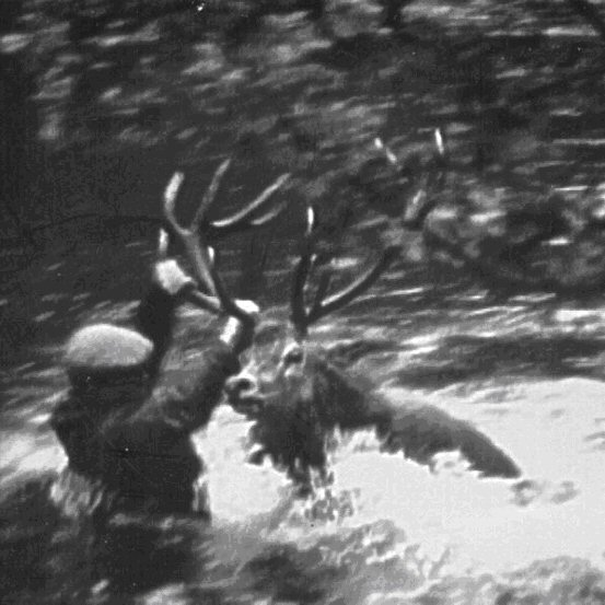 Image2