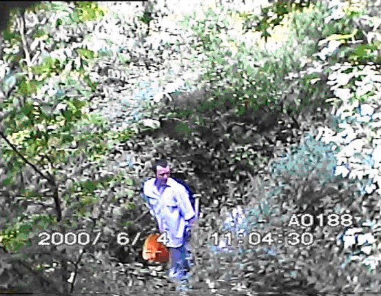 Image3