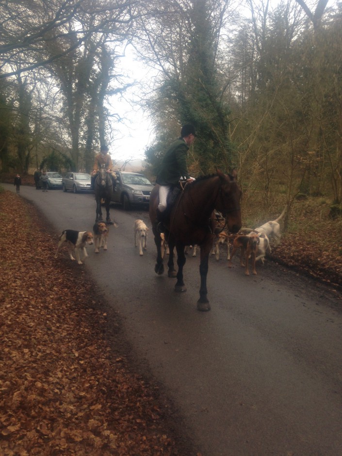 Staff College & RMS Sandhurst Draghounds helping the Kimblewick Hunt out on 210217. This was the day when Hounds Off volunteers learnt that the Buckinghamshire-based Kimblewick Hunt hounds had been infected with bovine tuberculosis.