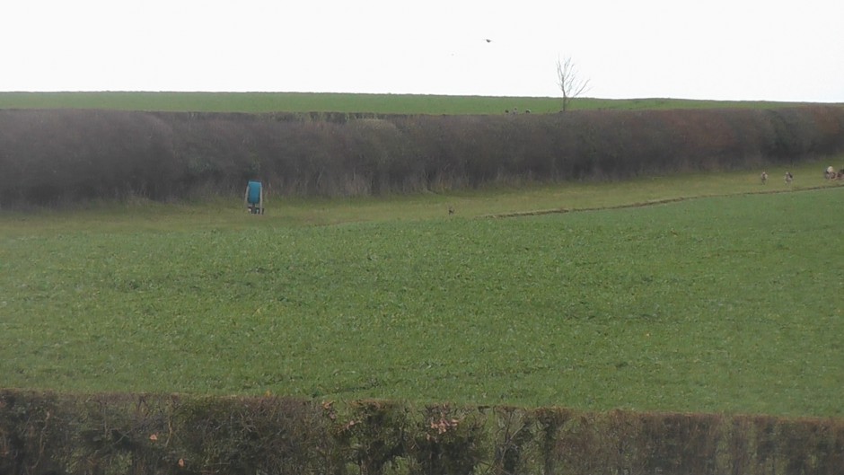 fox and hounds